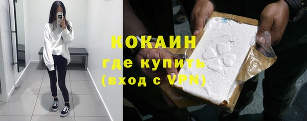 гидра Рославль