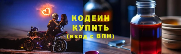 прущие грибы Заволжск