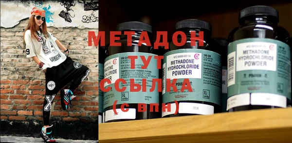 прущие грибы Заволжск