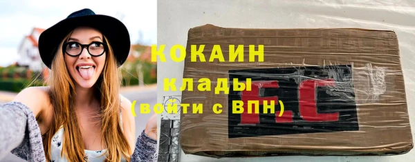 прущие грибы Заволжск