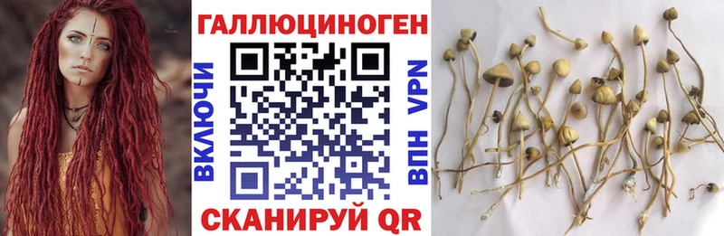 ОМГ ОМГ ONION  Славск  Галлюциногенные грибы Psilocybe  закладка 