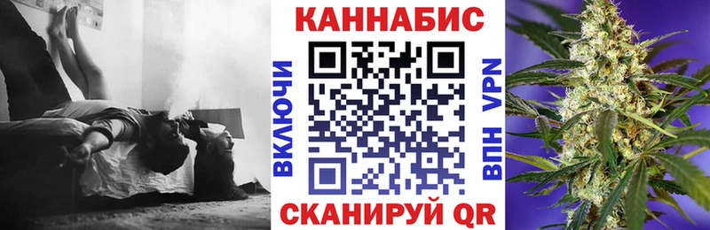 Бошки Шишки VHQ  Славск 